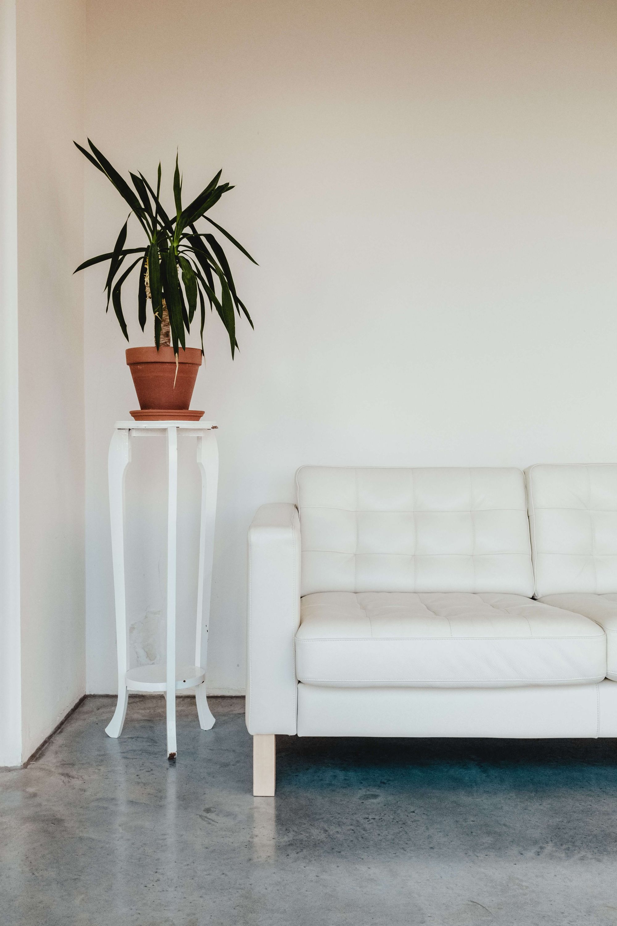 Is White Furniture Making a Comeback?